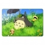������ ��������� ������������� Tonari no Totoro � �������� �����������