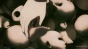 Rozen Maiden Zuruckspulen ( ) HD