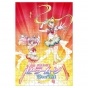 ���� "Sailor Moon Eternal" Super Sailor Moon, Super Sailor Chibi Moon (������ A3, 252 ������)