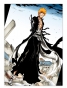 ������ �������� ���� - Ichigo