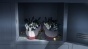     / Mahou Shoujo Site [DVD]