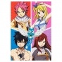 ���� Fairy Tail (������ A3, 252 ������) 67132