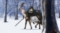     / Mahou Tsukai no Yome TV [DVD]