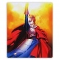    Fate/stay night 308259