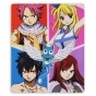    Fairy Tail 310050