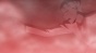 ����� �������� 3 - ������� / Danganronpa 3 - Mirai Hen
