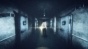 ������� ������� ��-2 / Kagewani: Shou [13 �� 13]