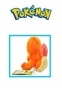   Pokemon 70333