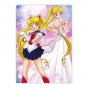 ������ �������� "Sailor Moon" Sailor Moon, Princess Serenity