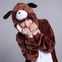    / Brown Dog