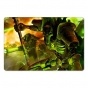 ������ ��������� ������������� Warhammer 321673