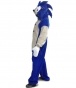      / Kigurumi Funky Super Sonic