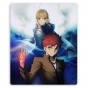    Fate/stay night 308261