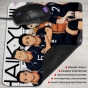    Haikyuu!! 310914