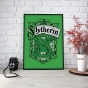 ������ �������� Harry Potter Slytherin