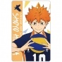 ������ ������������� Haikyu!! To The Top - Hinata Shoyo