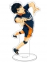   Haikyu!! -  (Kageyama)