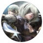 ������ ��������� ������� NieR: Automata - �����-2B � �����-9S