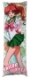   Bishoujo Senshi Sailor Moon Makoto Kino  