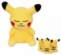   Pokemon Pikachu   