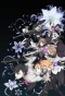 ����� �������� / Caligula [HD]