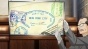 ������������� ������� / Gyakuten Saiban [24 �� 24]