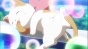 The World God Only Knows (    )   HD