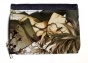   Inu X Boku SS 52018