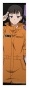    Fire Force -  