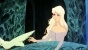The Last Unicorn ( )
