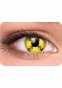     "Colors Eye Free Carnival" Ƹ  007