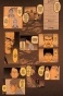 ����� ������ / Ajin. ��� 7
