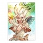 ������ �������� Dr. Stone (manga ver.)
