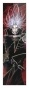 �������� Trinity Blood 349849