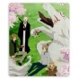    Natsume Yuujinchou 62946