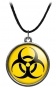 ����� "Division" Quarantine Logo