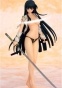 Senran Kagura Shoujotachi no Shinei - Ikaruga Damage ver.
