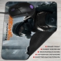     The Division
