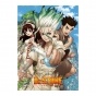 ������ �������� "Dr. Stone" Senkuu, Taiju, � Yuzuriha