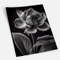 ����� �������� ��� ��������� - Black & White Flowers