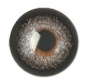     Innova Big Eye 