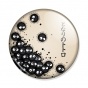 ������ My Neighbor Totoro Susuwatari