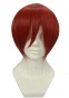  One Piece - Shanks / Bleach - Noba / Katekyo Hitman Reborn - MM / Vocaloid - Akaito /