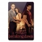   Twilight 351881