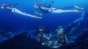   -2 / Amanchu! Advance [DVD]