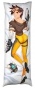 ���������� ��������� � �������� Tracer �� Overwatch