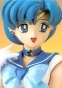 Sailor Mercury in Varied Faces FG1299