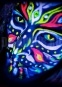     Innova Disco Green