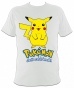 ����� �������� Pokemon 48438