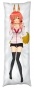     Fate/Extra